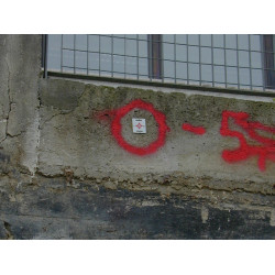 Smart Target (Mērniecības marka) RS50