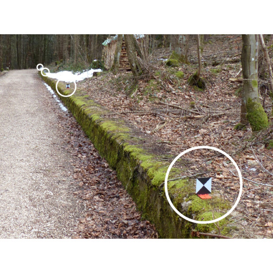 Lāzera skenera mērķis RSL496